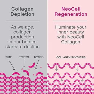 Marine collagen contains type 1 and type 3 collagen and hyaluronic acid